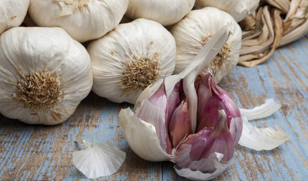 Oleificio Cima di Bitonto - Oli Aromatizzati