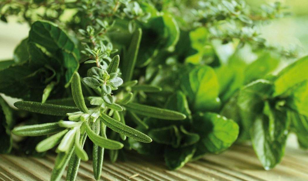 Oleificio Cima di Bitonto - Oli Aromatizzati