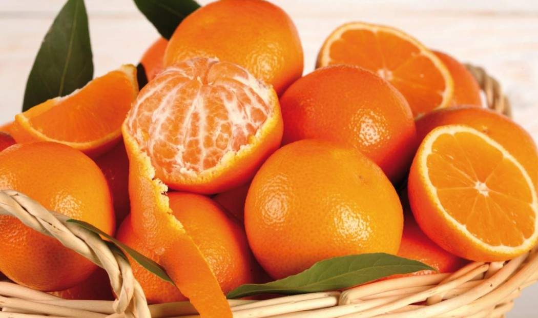 Oleificio Cima di Bitonto - Oli Aromatizzati